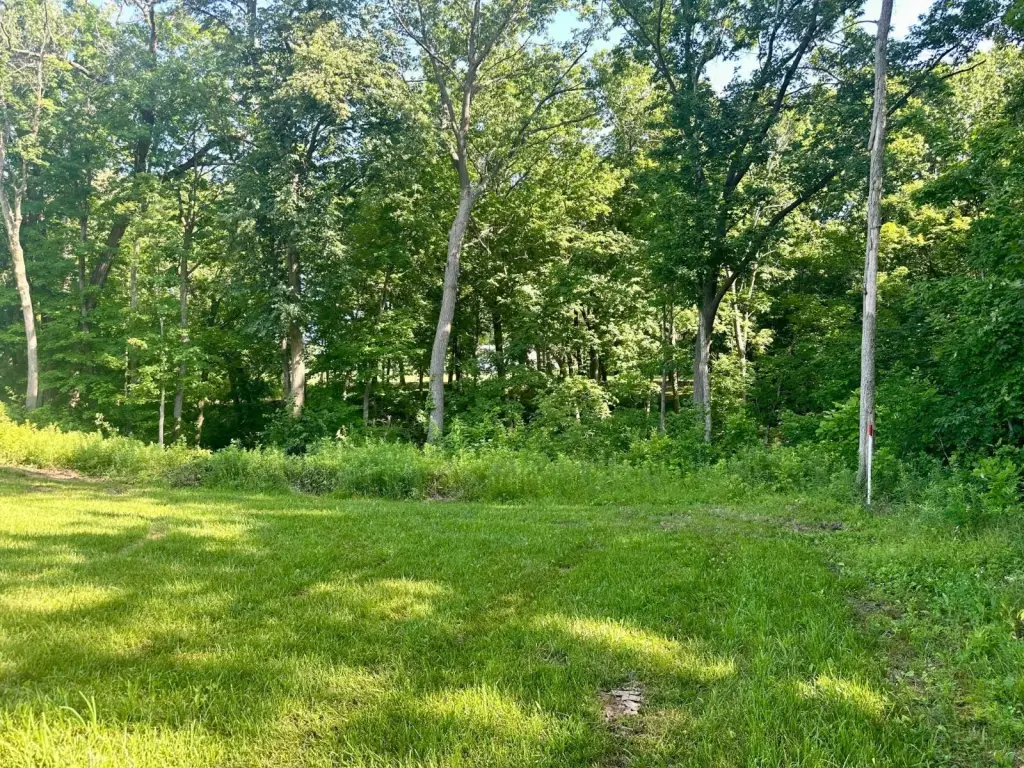 Picture 15