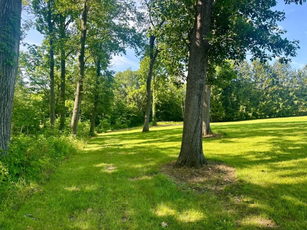 Picture 14