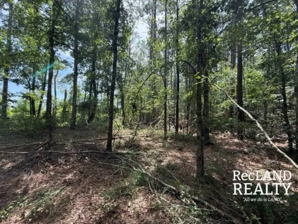 Picture 13