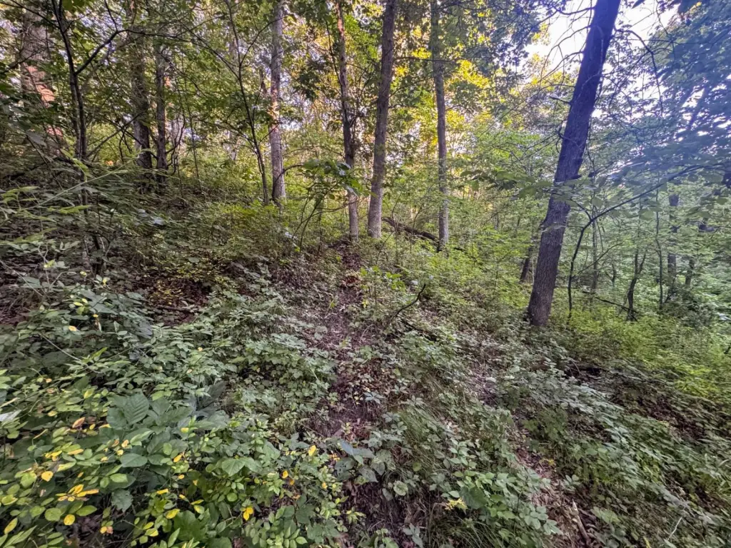 Picture 38