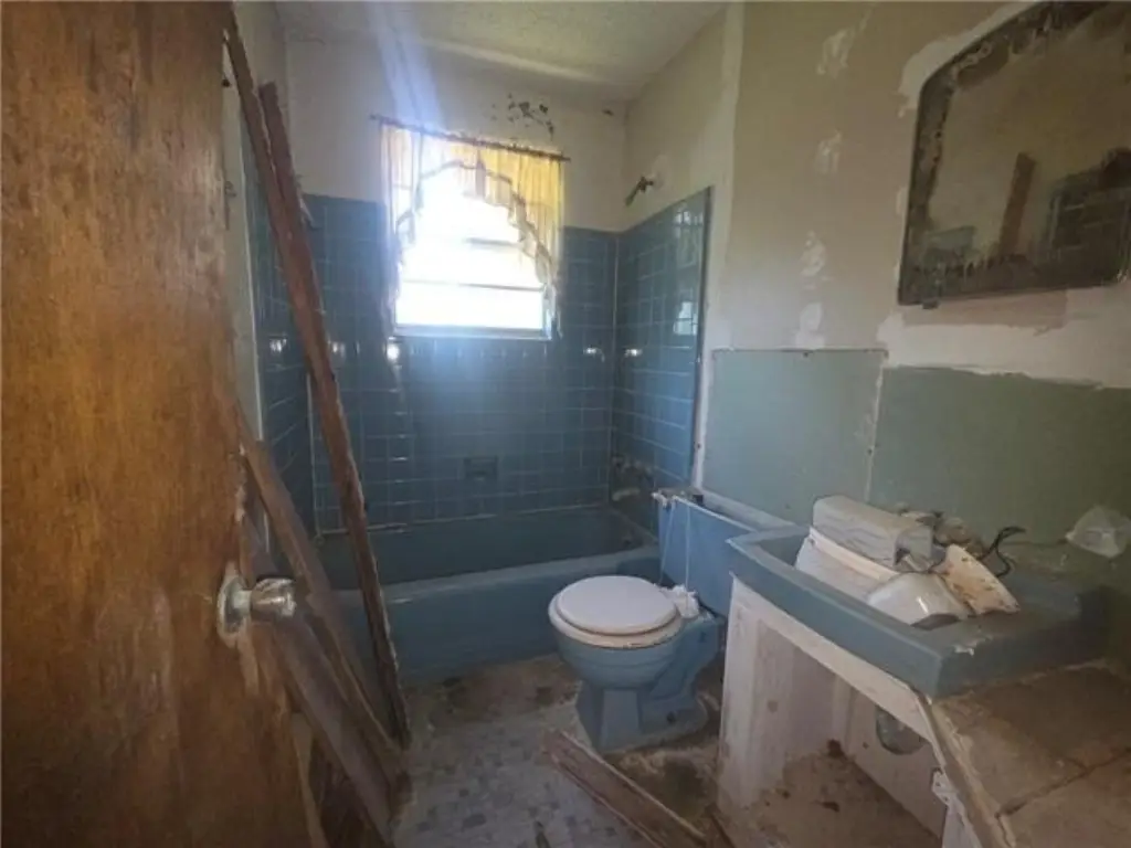 Picture 8