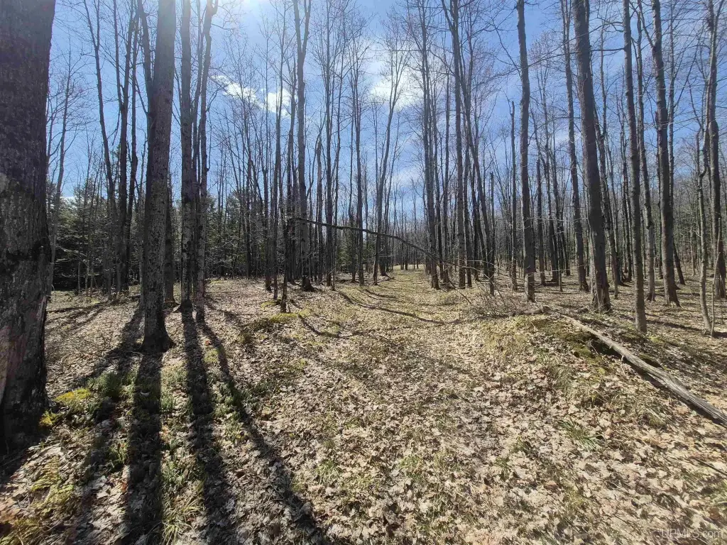Picture 36