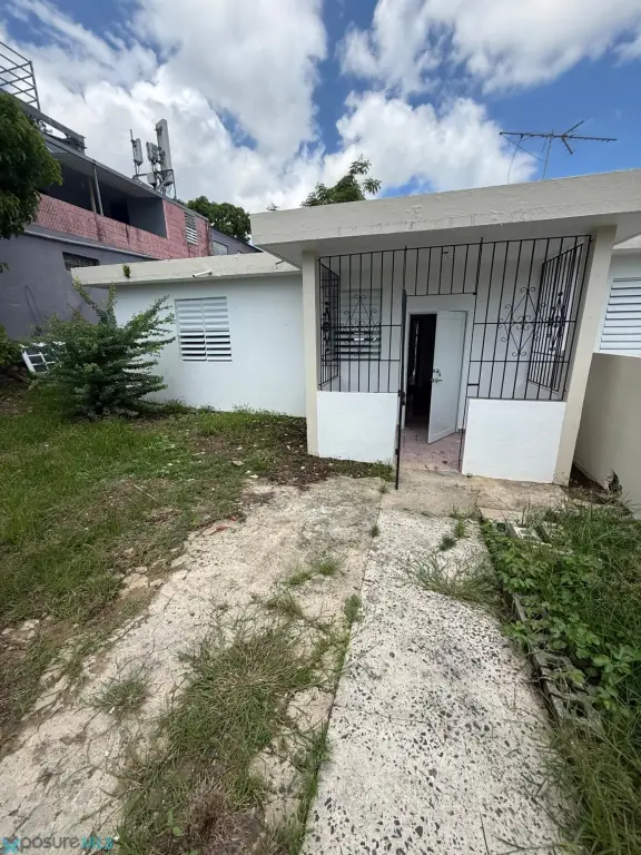 Picture 17