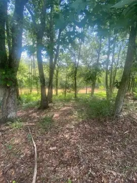 Riverfront Land with Utilities