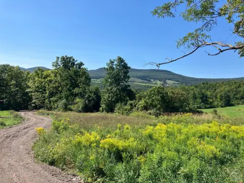 Land with Mountain Views