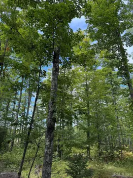 Private 30-Acre Vacant Land