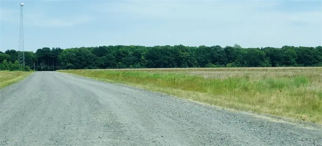 Picture 28