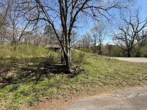 Residential Lot in Mena, AR