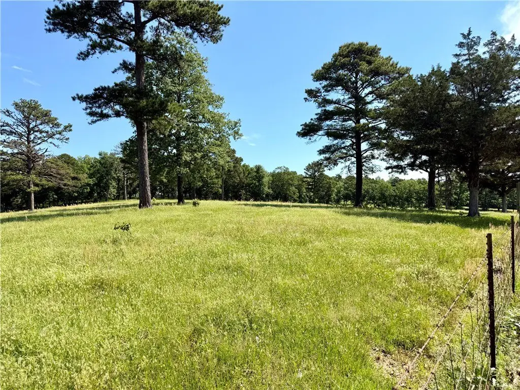Picture 13