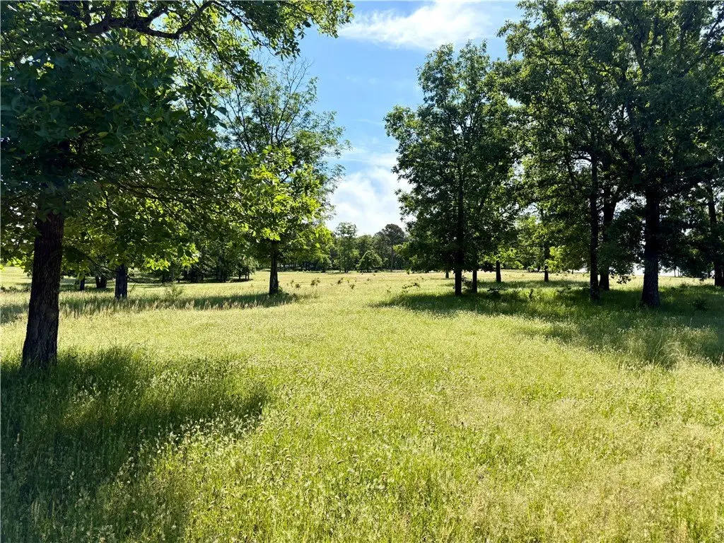 Picture 20