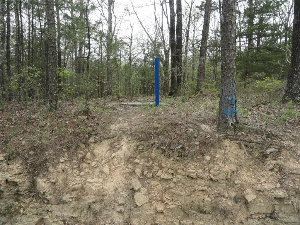 Picture 43