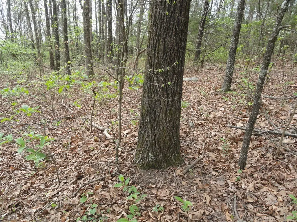 Picture 25