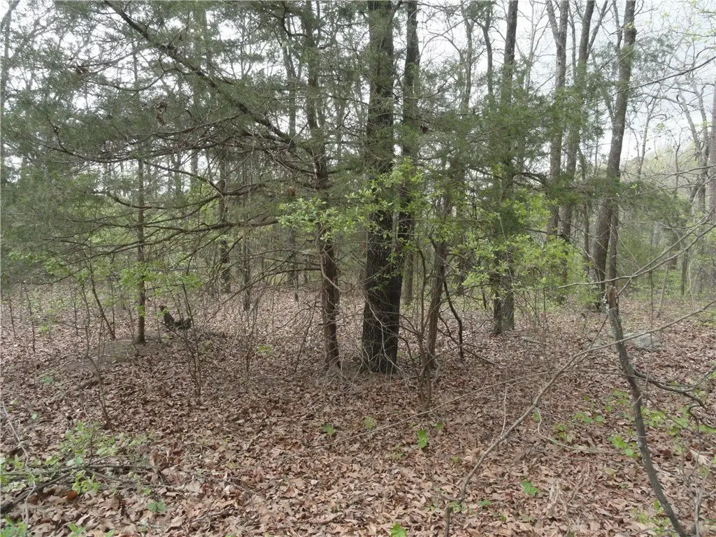 Picture 28