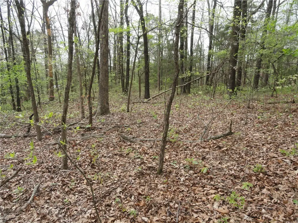 Picture 26