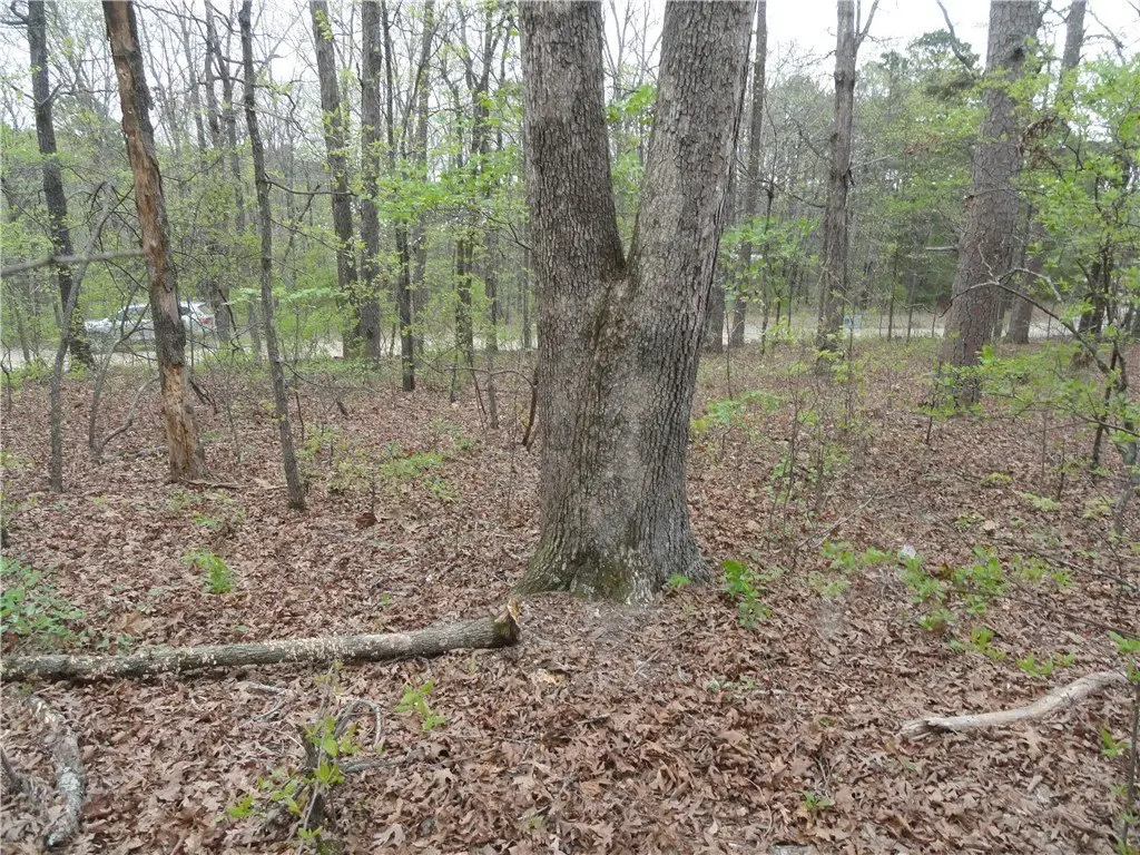 Picture 19