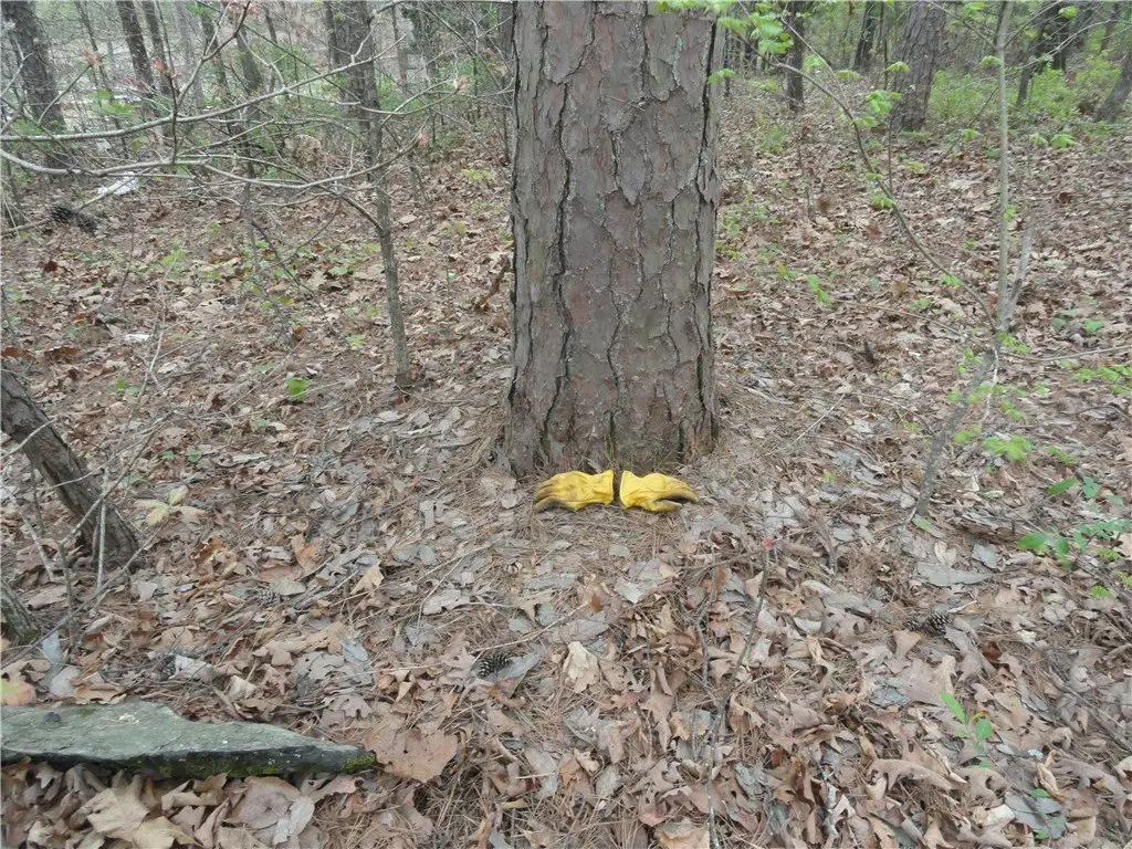 Picture 12