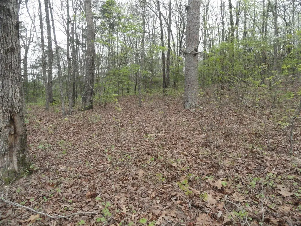 Picture 22