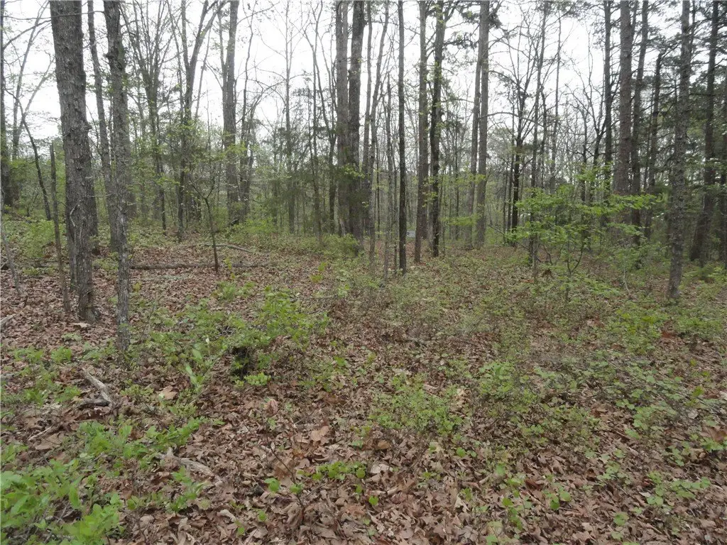 Picture 14