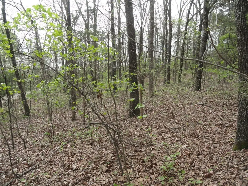 Picture 23