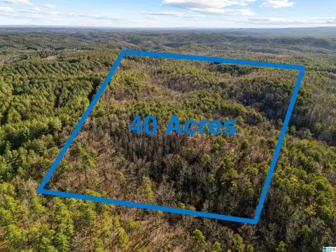 Piedmont Hunting/Recreational Land For Sale
