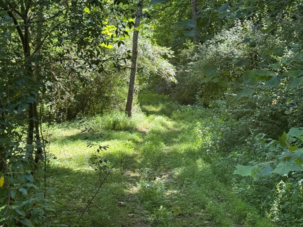 Picture 25