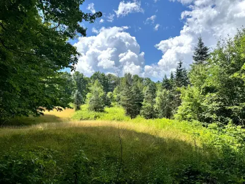 Recreation Land with Creek Frontage