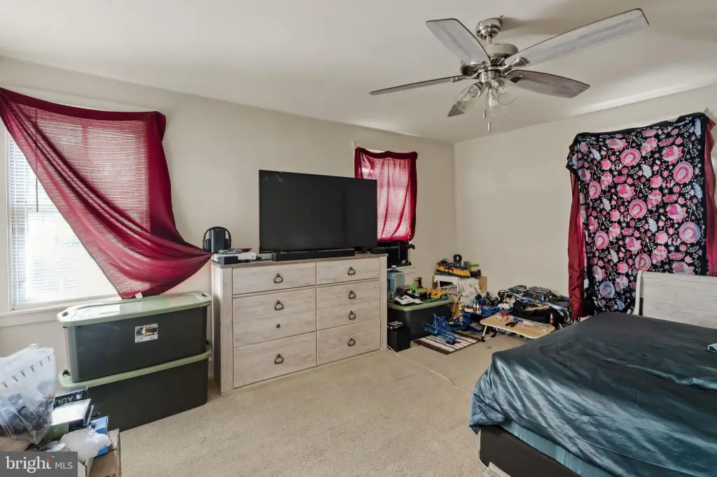 Picture 8
