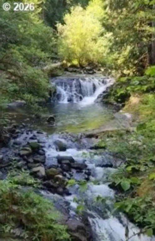 Picture 29