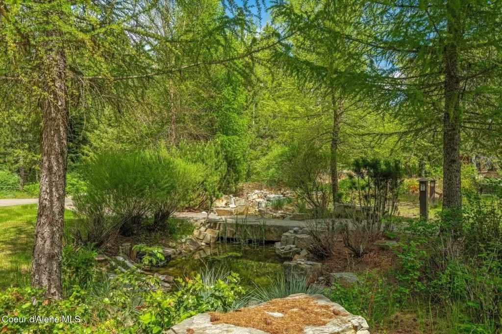 Picture 21