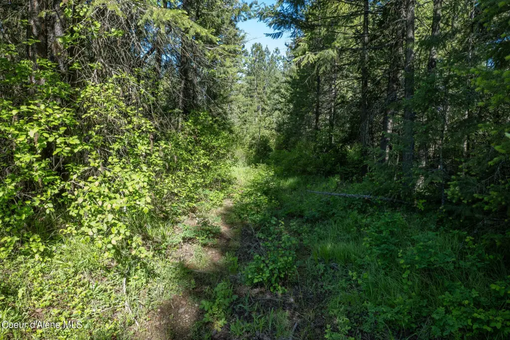 Picture 38