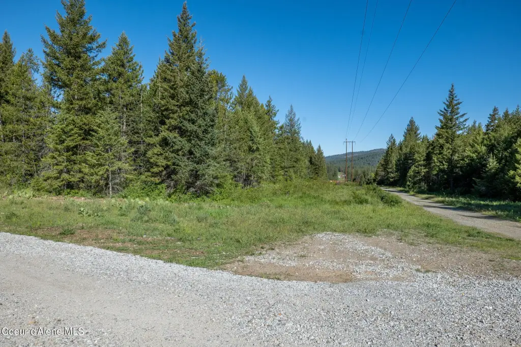 Picture 9
