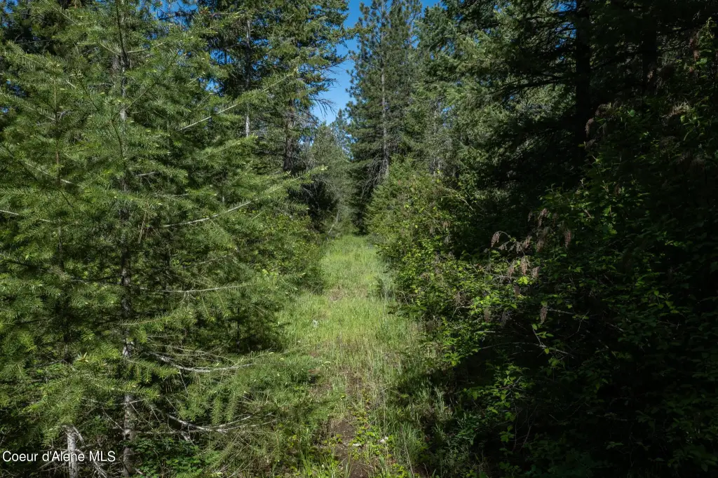 Picture 39