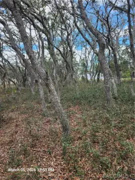 Homosassa Homesite on Half-Acre Lot
