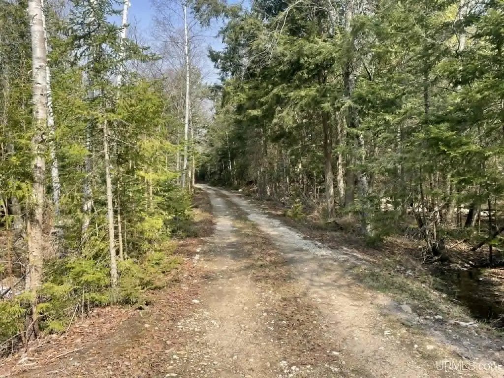 Picture 13
