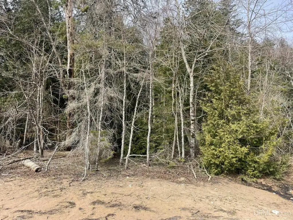 Picture 30