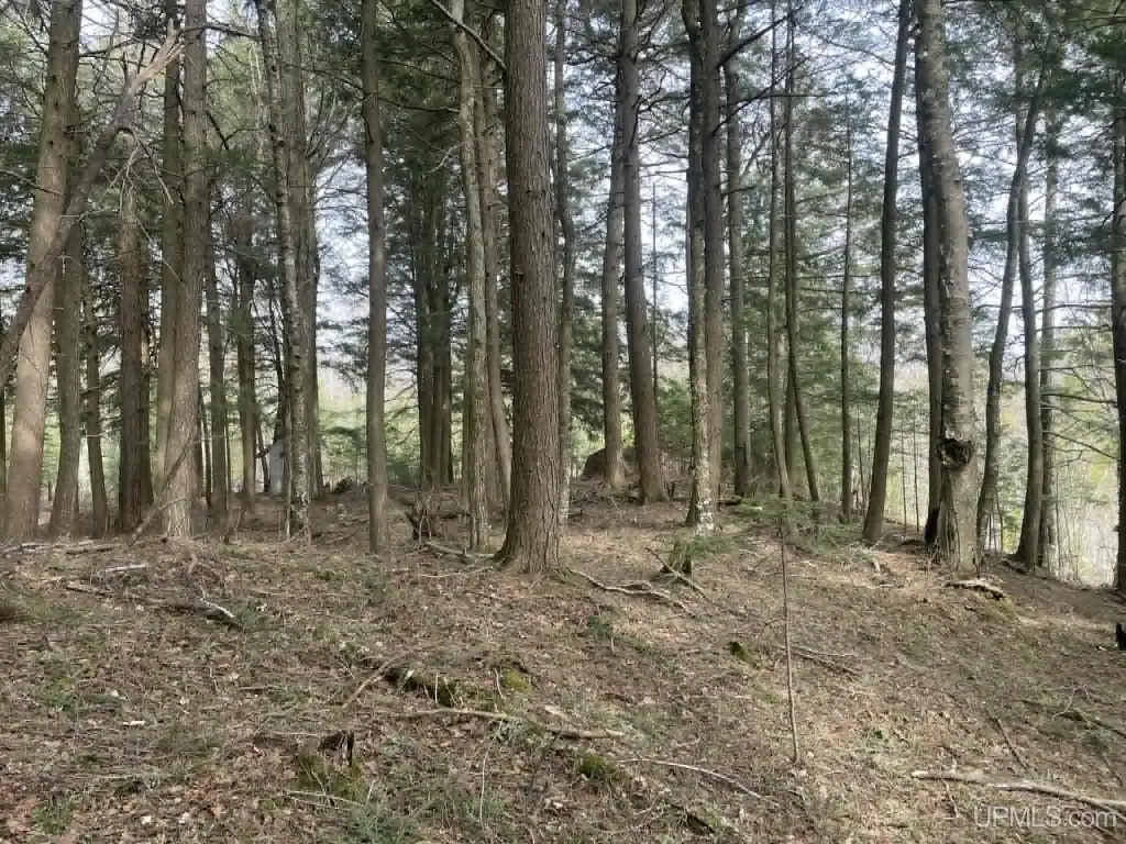 Picture 7