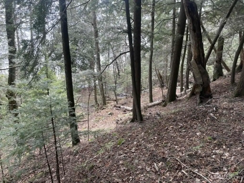 Picture 8