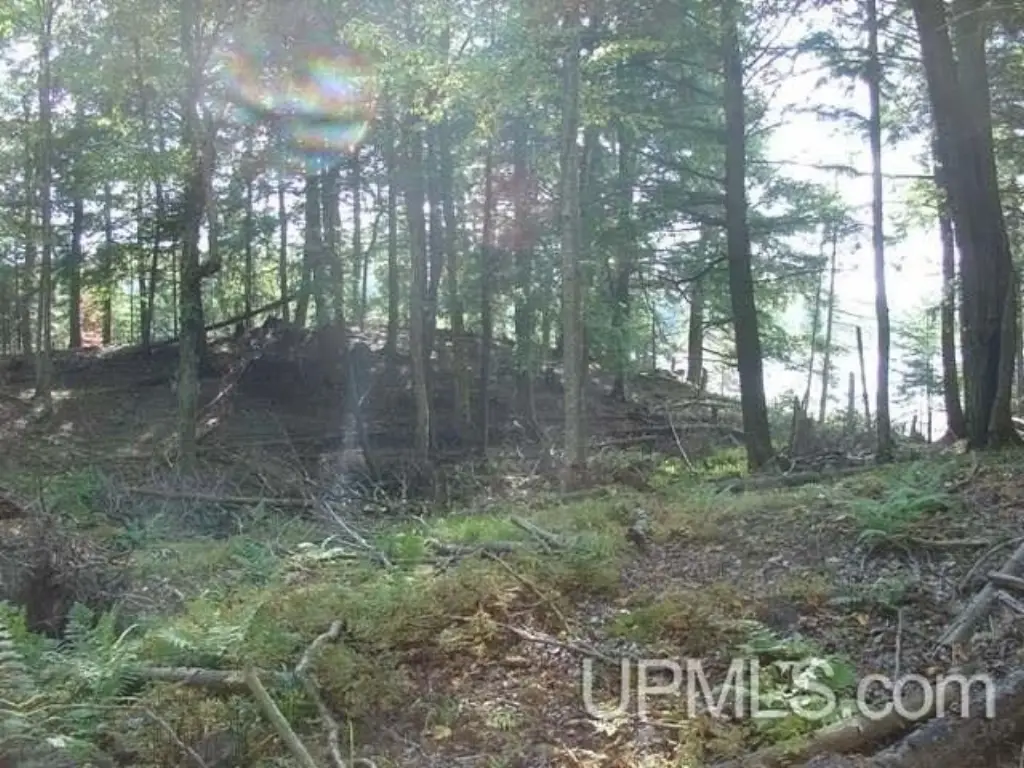 Picture 4