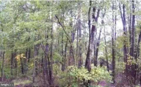 Gainesville Land For Sale