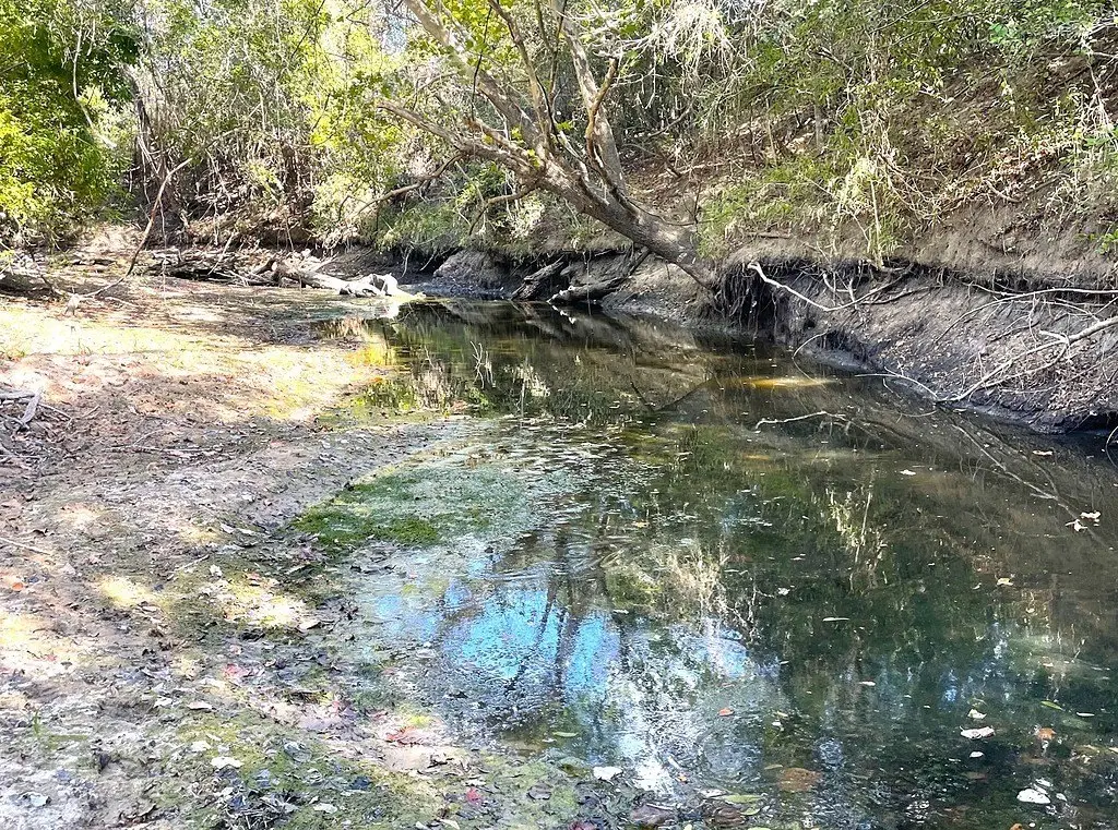Picture 2