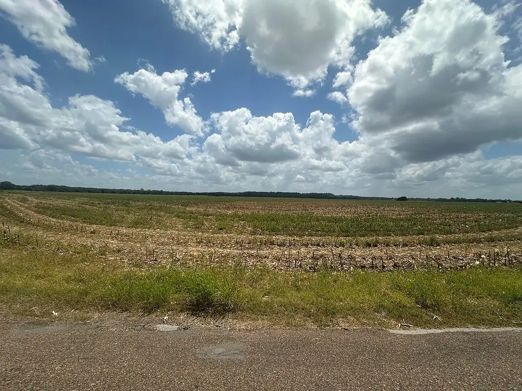Picture 8