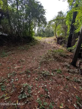 Trenton, NC Hunting & Riverfront