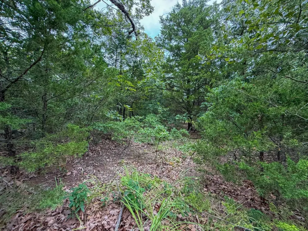 Picture 17