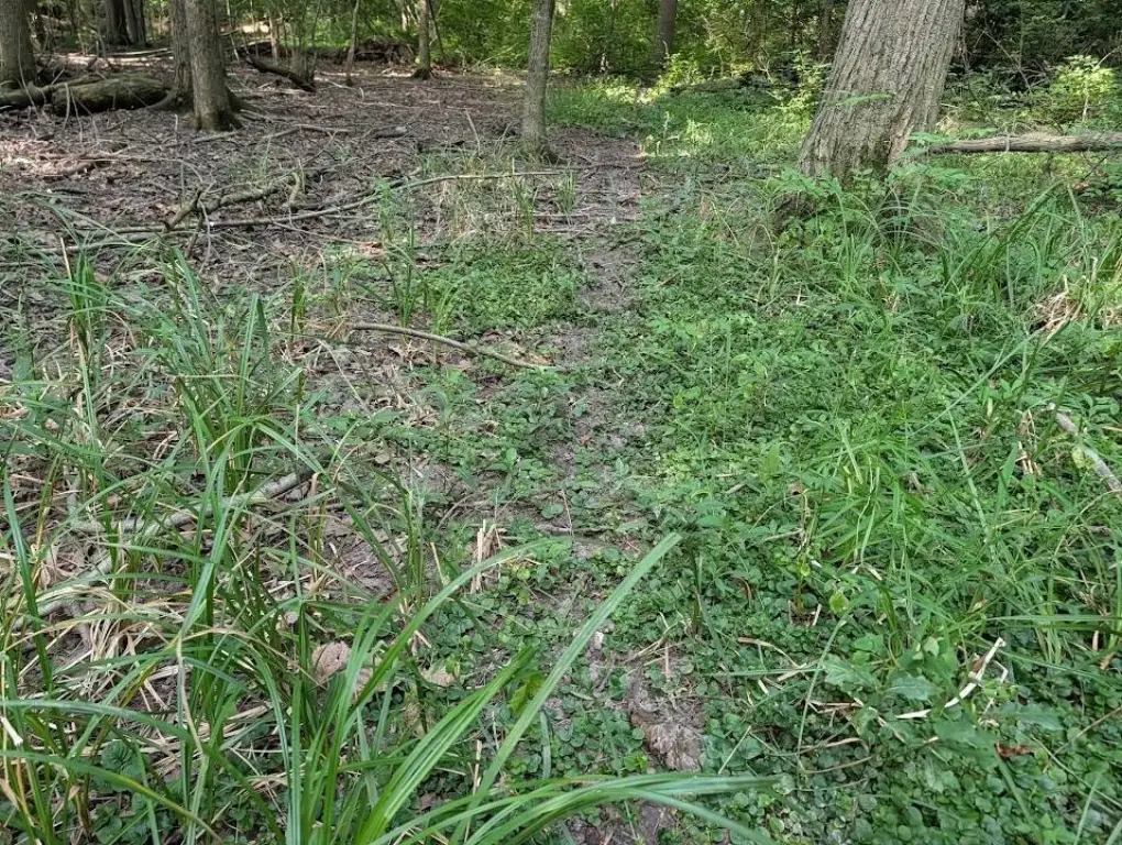 Picture 11