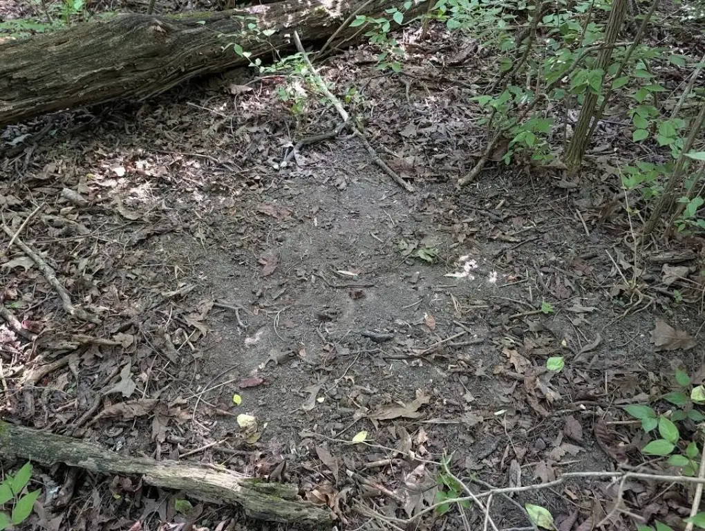 Picture 10