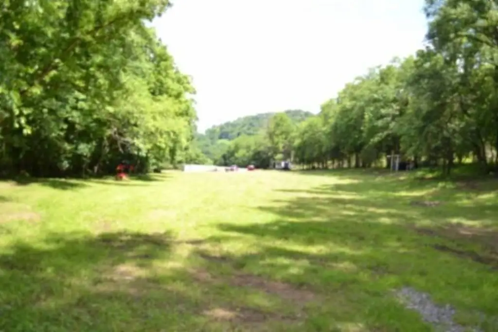 Picture 33