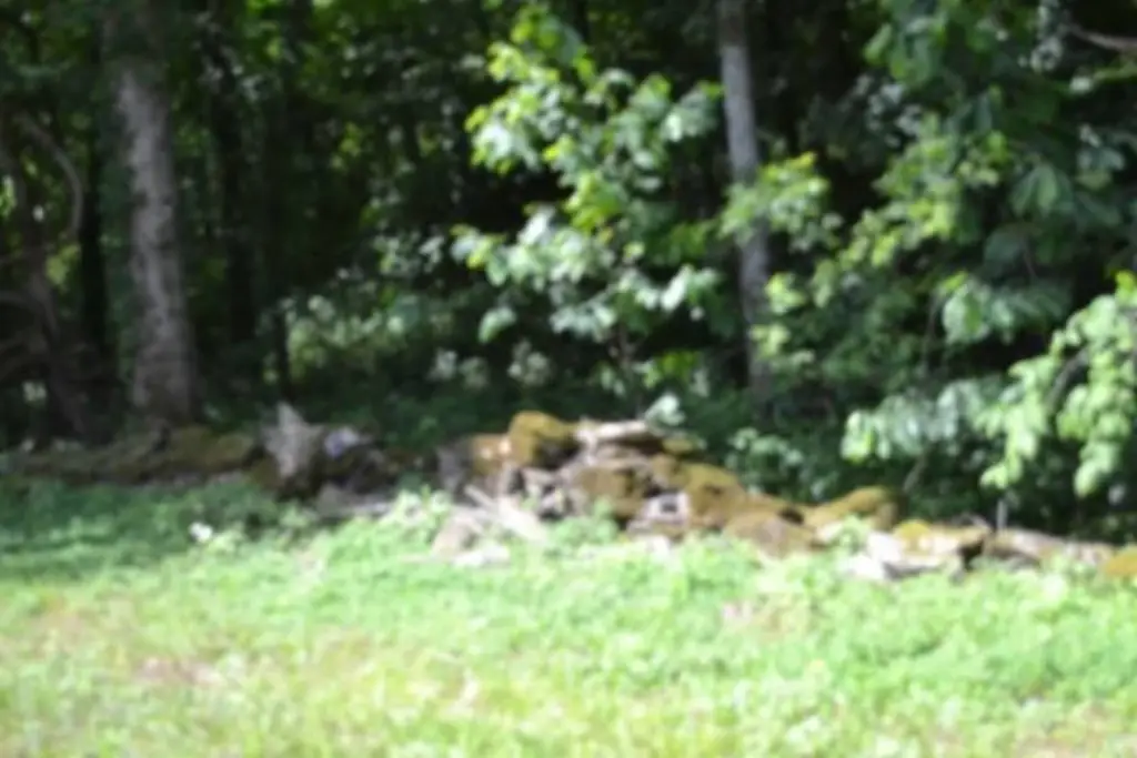 Picture 28