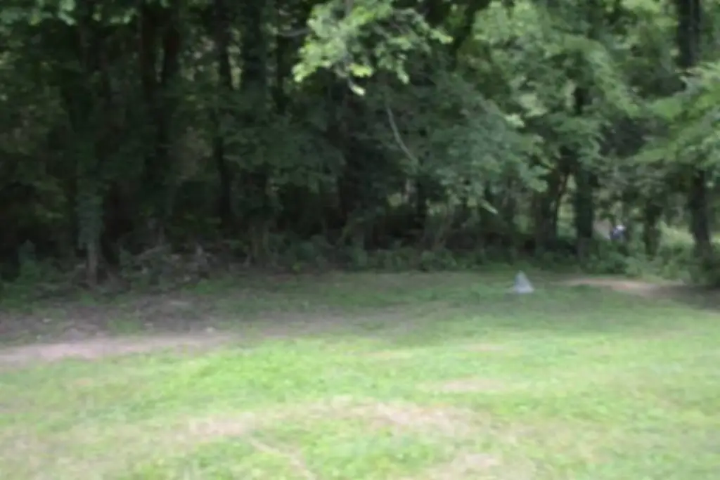 Picture 26