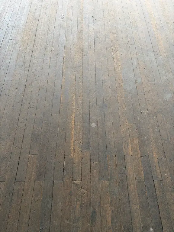 Picture 7