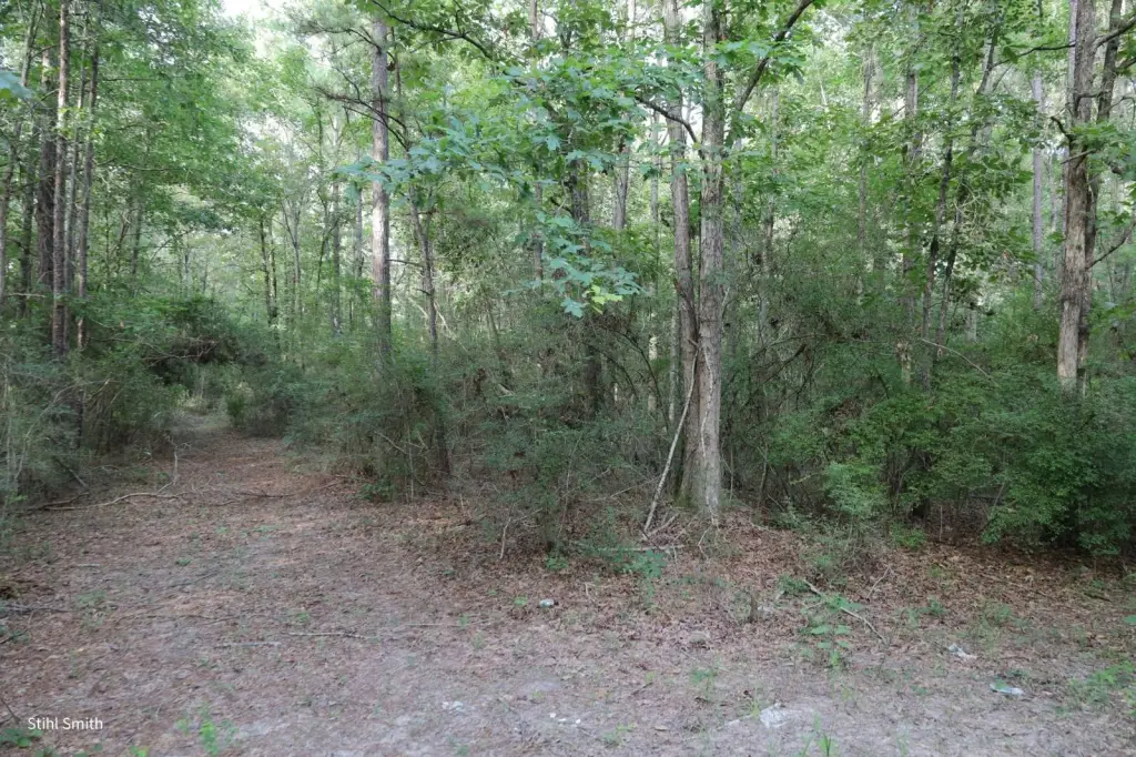 Picture 21